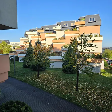 Violette Olomouc