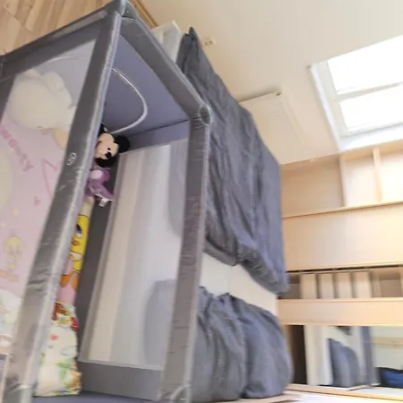 Violette * 올로모우츠