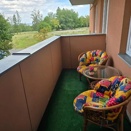 Violette * 올로모우츠